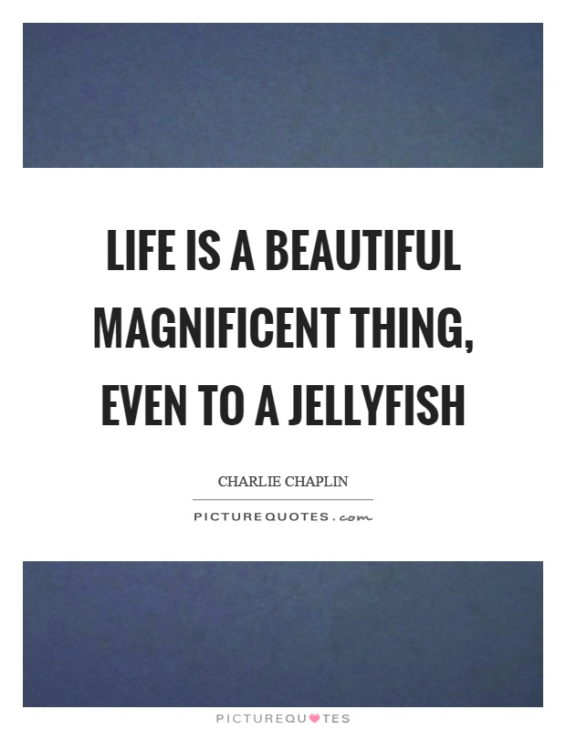 Life is a beautiful magnificent thing, even to a jellyfish Picture Quote #1