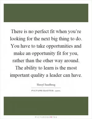 There is no perfect fit when you’re looking for the next big thing to do. You have to take opportunities and make an opportunity fit for you, rather than the other way around. The ability to learn is the most important quality a leader can have Picture Quote #1