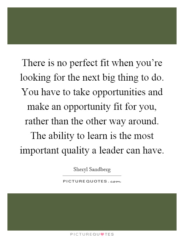 There is no perfect fit when you're looking for the next big thing to do. You have to take opportunities and make an opportunity fit for you, rather than the other way around. The ability to learn is the most important quality a leader can have Picture Quote #1