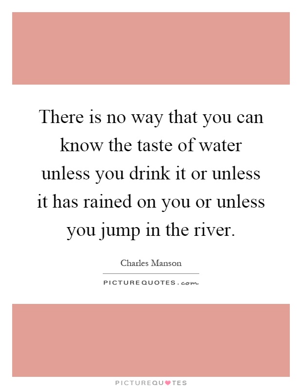 There is no way that you can know the taste of water unless you drink it or unless it has rained on you or unless you jump in the river Picture Quote #1