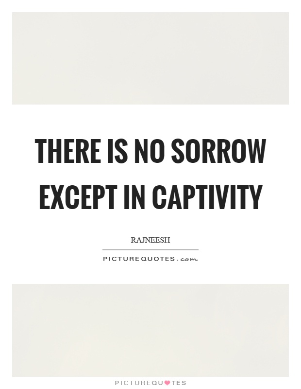 There is no sorrow except in captivity Picture Quote #1