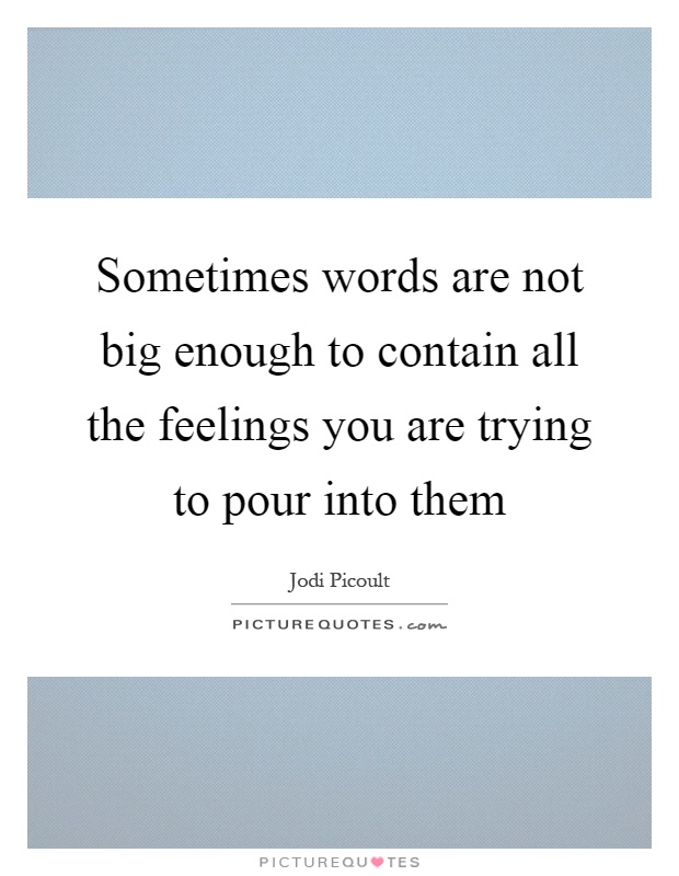 Sometimes words are not big enough to contain all the feelings you are trying to pour into them Picture Quote #1