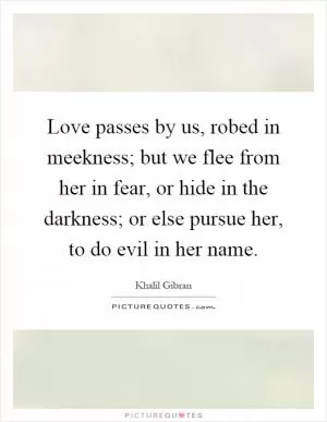 Love passes by us, robed in meekness; but we flee from her in fear, or hide in the darkness; or else pursue her, to do evil in her name Picture Quote #1