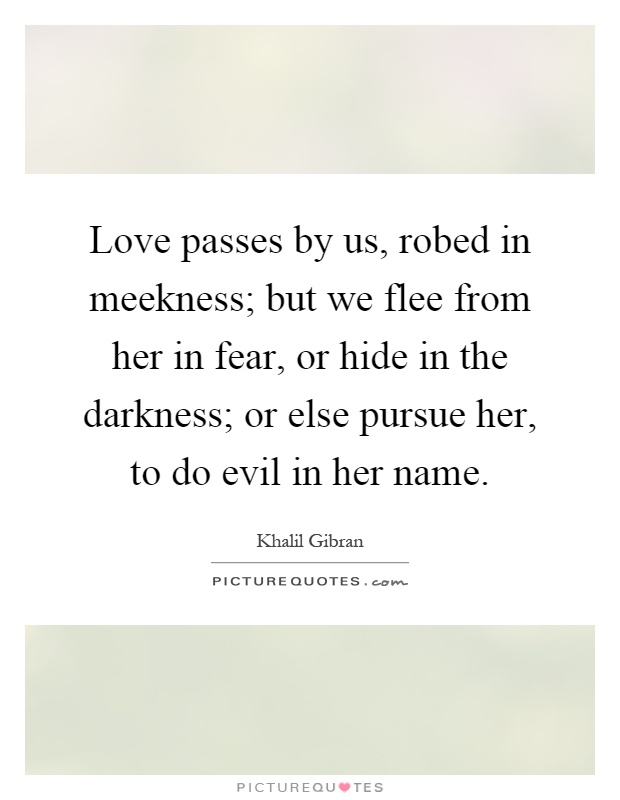 Love passes by us, robed in meekness; but we flee from her in fear, or hide in the darkness; or else pursue her, to do evil in her name Picture Quote #1