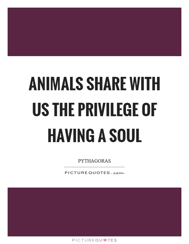 Animals share with us the privilege of having a soul Picture Quote #1