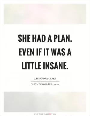 She had a plan. Even if it was a little insane Picture Quote #1