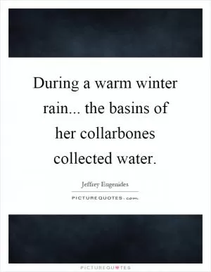 During a warm winter rain... the basins of her collarbones collected water Picture Quote #1