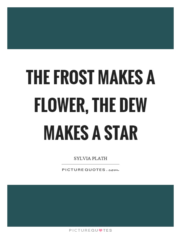 The frost makes a flower, the dew makes a star Picture Quote #1