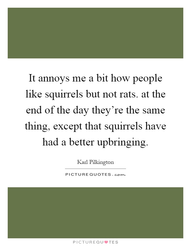 It annoys me a bit how people like squirrels but not rats. at the end of the day they're the same thing, except that squirrels have had a better upbringing Picture Quote #1