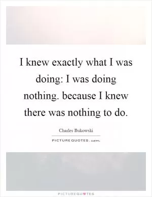 I knew exactly what I was doing: I was doing nothing. because I knew there was nothing to do Picture Quote #1