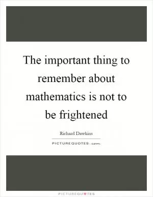 The important thing to remember about mathematics is not to be frightened Picture Quote #1
