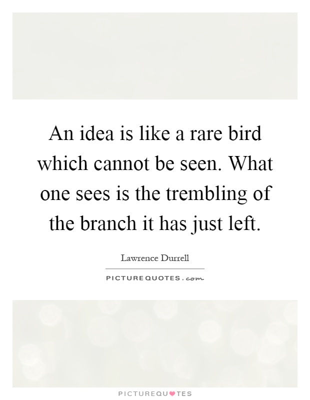 An idea is like a rare bird which cannot be seen. What one sees is the trembling of the branch it has just left Picture Quote #1