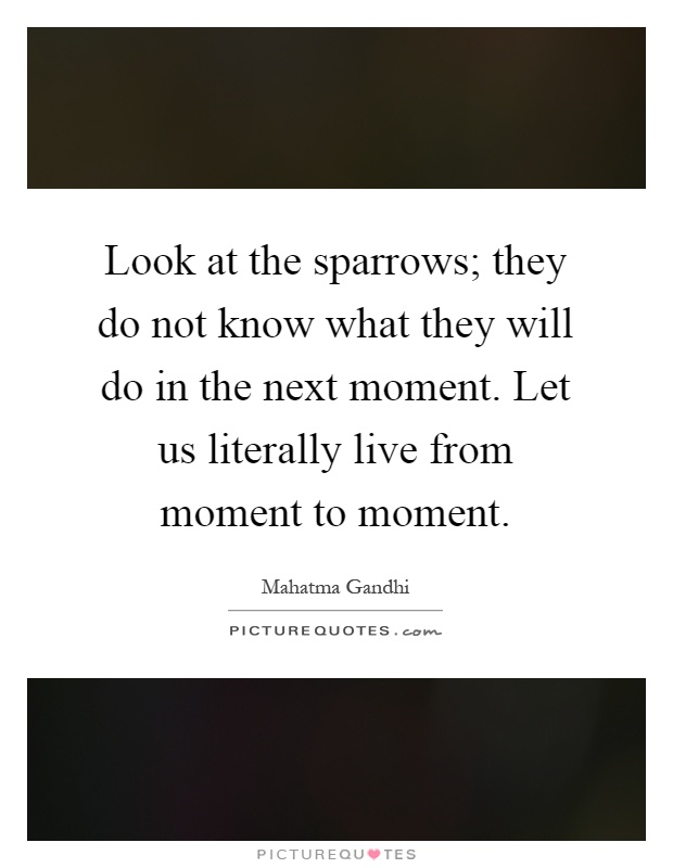 Look at the sparrows; they do not know what they will do in the next moment. Let us literally live from moment to moment Picture Quote #1