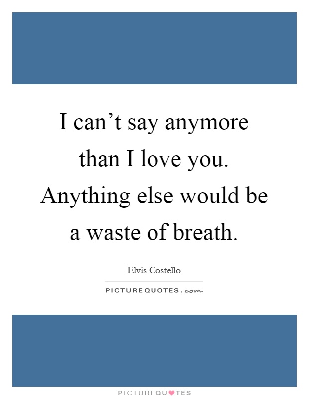 I can't say anymore than I love you. Anything else would be a waste of breath Picture Quote #1