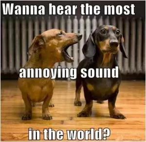 Wanna hear the most annoying sound in the world? Picture Quote #1