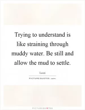 Trying to understand is like straining through muddy water. Be still and allow the mud to settle Picture Quote #1