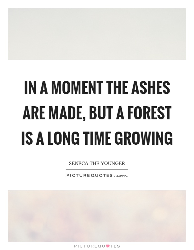 In a moment the ashes are made, but a forest is a long time growing Picture Quote #1