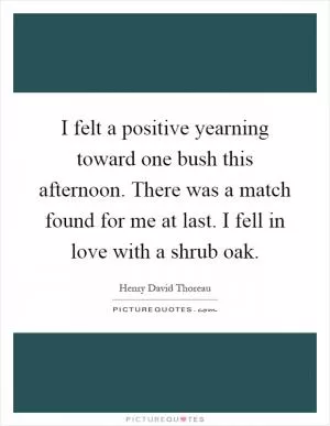 I felt a positive yearning toward one bush this afternoon. There was a match found for me at last. I fell in love with a shrub oak Picture Quote #1