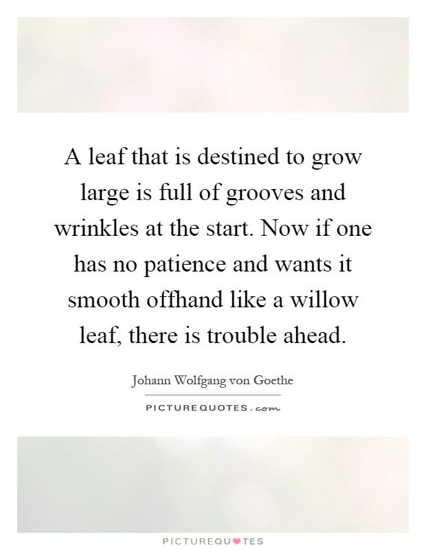 A leaf that is destined to grow large is full of grooves and wrinkles at the start. Now if one has no patience and wants it smooth offhand like a willow leaf, there is trouble ahead Picture Quote #1