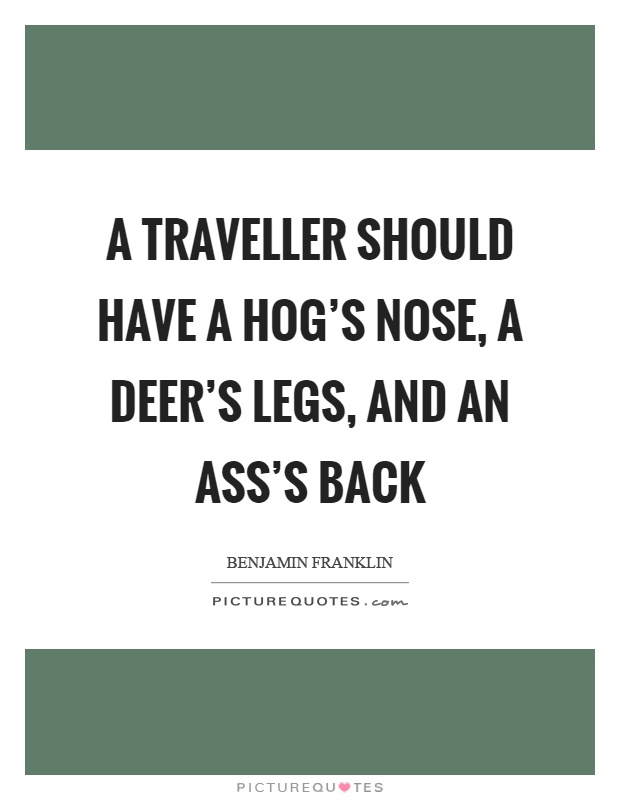 A traveller should have a hog's nose, a deer's legs, and an ass's back Picture Quote #1