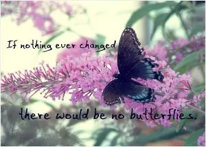 If nothing ever changed there would be no butterlies Picture Quote #1