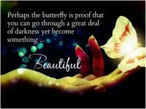 Perhaps the butterfly is proof that you can go through a great deal of darkness yet become something beautiful Picture Quote #1