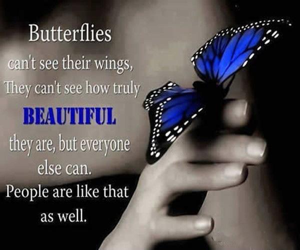 Butterflies can't see their wings. They can't see how truly beautiful they are, but everyone else can. People are like that as well Picture Quote #1