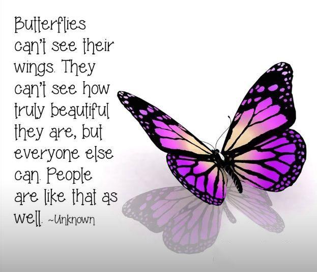 Butterflies can't see their wings. They can't see how truly beautiful they are, but everyone else can. People are like that as well Picture Quote #2