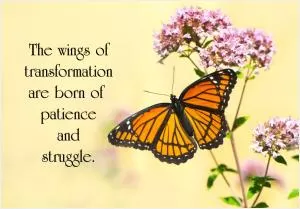 The wings of transformation are born of patience and struggle Picture Quote #1