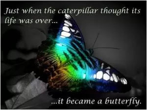 Just when the caterpillar thought its life was over... it became a butterfly Picture Quote #1