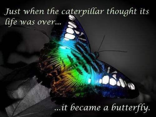 Just when the caterpillar thought its life was over... it became a butterfly Picture Quote #1