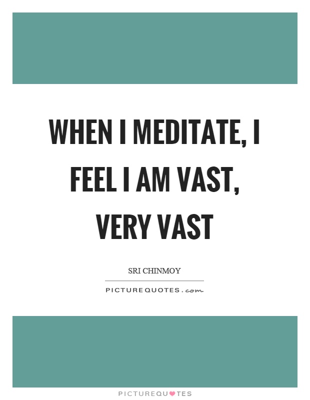 When I meditate, I feel I am vast, very vast Picture Quote #1