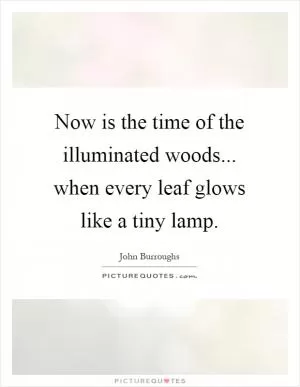 Now is the time of the illuminated woods... when every leaf glows like a tiny lamp Picture Quote #1