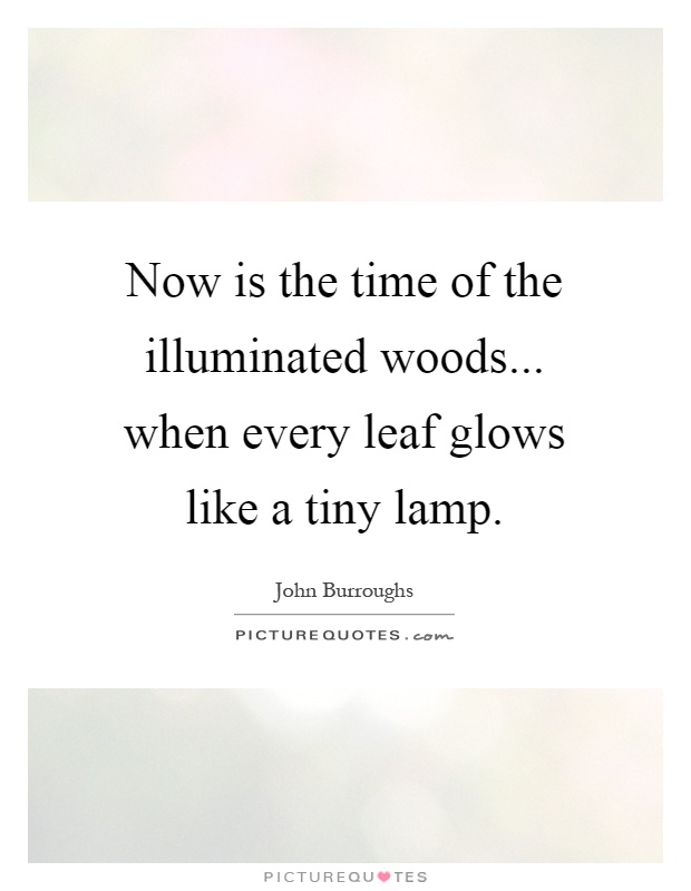 Now is the time of the illuminated woods... when every leaf glows like a tiny lamp Picture Quote #1