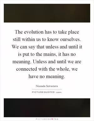 The evolution has to take place still within us to know ourselves. We can say that unless and until it is put to the mains, it has no meaning. Unless and until we are connected with the whole, we have no meaning Picture Quote #1