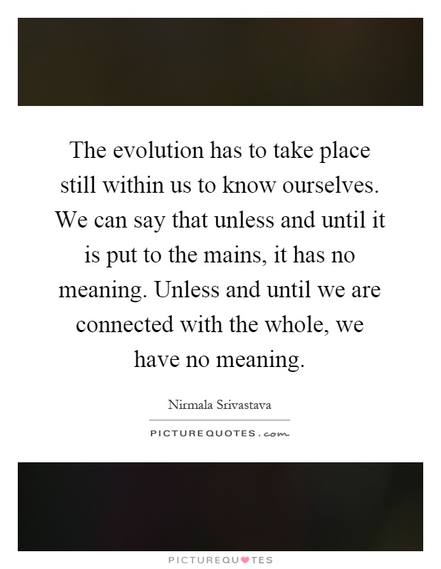 The evolution has to take place still within us to know ourselves. We can say that unless and until it is put to the mains, it has no meaning. Unless and until we are connected with the whole, we have no meaning Picture Quote #1