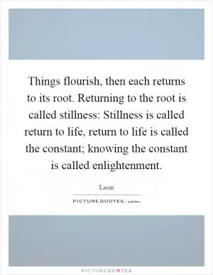 Things flourish, then each returns to its root. Returning to the root is called stillness: Stillness is called return to life, return to life is called the constant; knowing the constant is called enlightenment Picture Quote #1