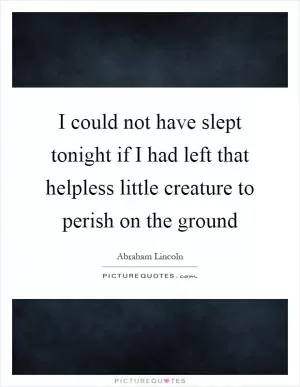 I could not have slept tonight if I had left that helpless little creature to perish on the ground Picture Quote #1
