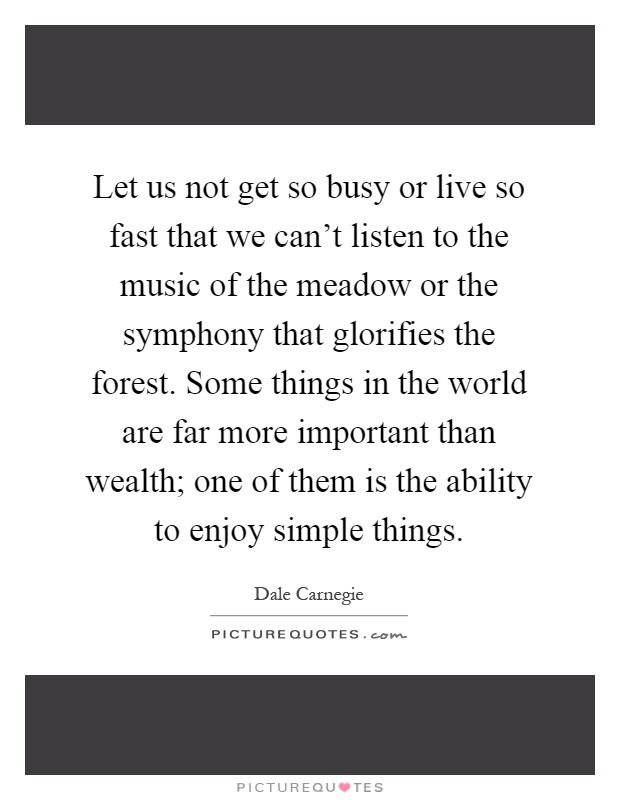 Let us not get so busy or live so fast that we can't listen to the music of the meadow or the symphony that glorifies the forest. Some things in the world are far more important than wealth; one of them is the ability to enjoy simple things Picture Quote #1