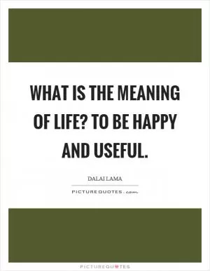 What is the meaning of life? To be happy and useful Picture Quote #1