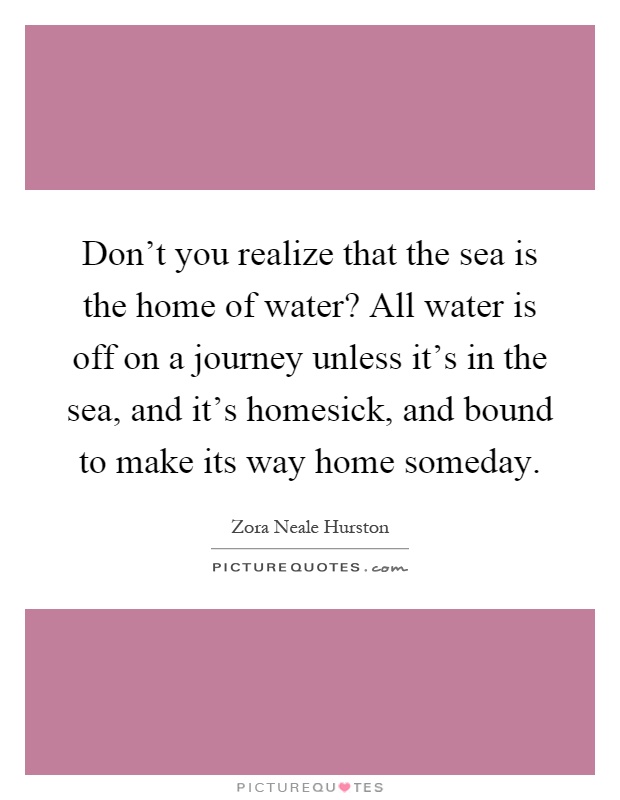 Don't you realize that the sea is the home of water? All water is off on a journey unless it's in the sea, and it's homesick, and bound to make its way home someday Picture Quote #1