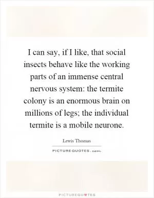I can say, if I like, that social insects behave like the working parts of an immense central nervous system: the termite colony is an enormous brain on millions of legs; the individual termite is a mobile neurone Picture Quote #1