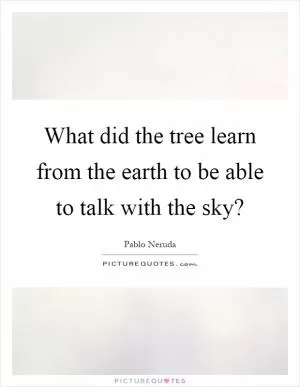 What did the tree learn from the earth to be able to talk with the sky? Picture Quote #1