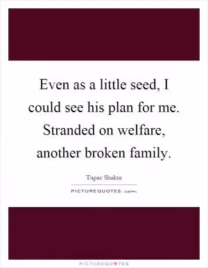 Even as a little seed, I could see his plan for me. Stranded on welfare, another broken family Picture Quote #1