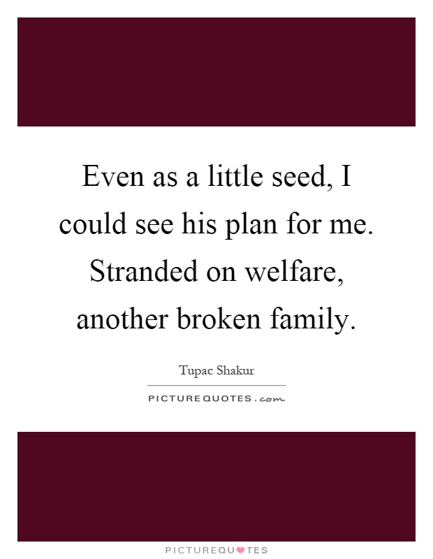 Even as a little seed, I could see his plan for me. Stranded on welfare, another broken family Picture Quote #1