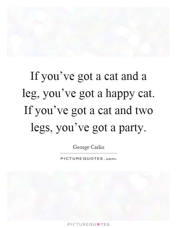If you've got a cat and a leg, you've got a happy cat. If you've got a cat and two legs, you've got a party Picture Quote #1