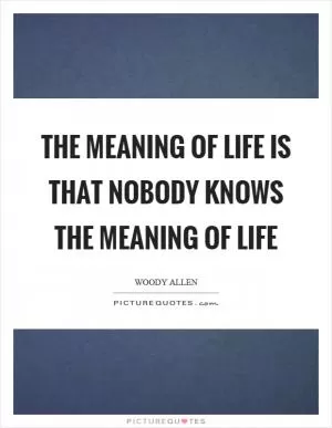 The meaning of life is that nobody knows the meaning of life Picture Quote #1