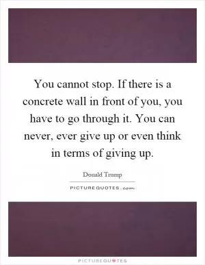 You cannot stop. If there is a concrete wall in front of you, you have to go through it. You can never, ever give up or even think in terms of giving up Picture Quote #1