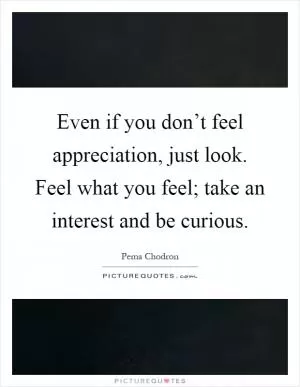 Even if you don’t feel appreciation, just look. Feel what you feel; take an interest and be curious Picture Quote #1