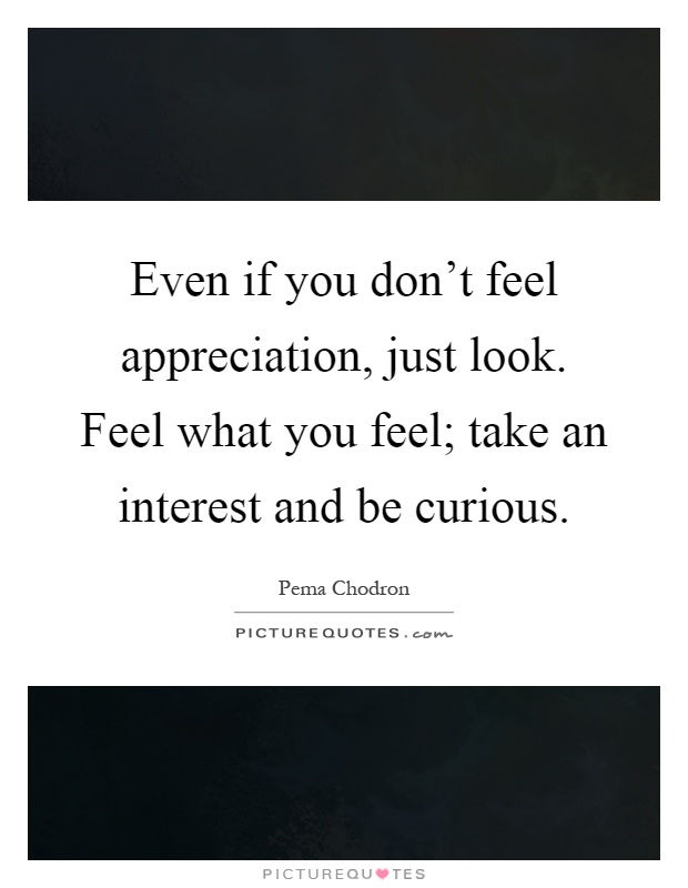 Even if you don't feel appreciation, just look. Feel what you feel; take an interest and be curious Picture Quote #1